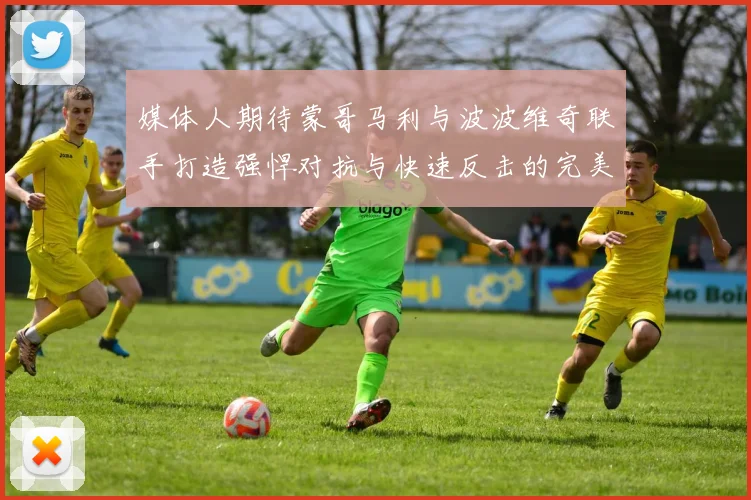 媒体人期待蒙哥马利与波波维奇联手打造强悍对抗与快速反击的完美结合